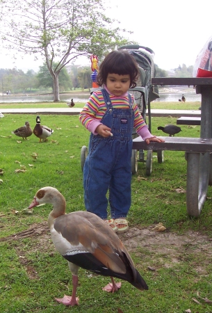 lily_with_goose3_8.jpg